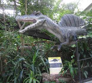Dinosaurier-Ausstellung
