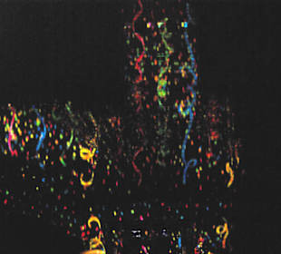 Kaiserburg Lichtershow