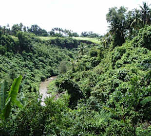 Impressionen aus Bali