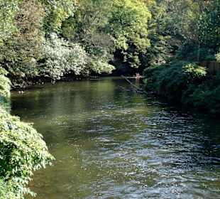 Rundweg an der Wupper
