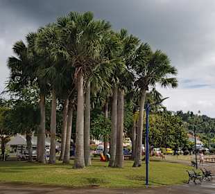 Santa Barbara de Samana