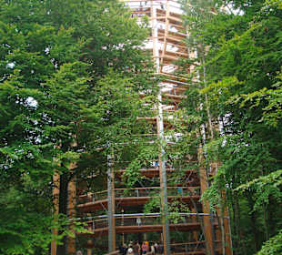 Holzturm, über 40 m Hoch