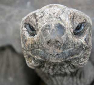 La Digue, L’Union Estate Naturschutzpark