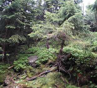 Karkonoski Park Narodowy