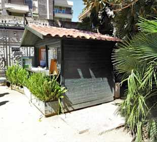 Das Kassenhäuschen des Botanischen Gartens