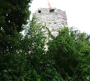 Ruine Laufenburg