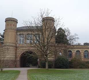 Schloss Karlsruhe Botanischer Garten