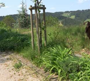 Sankt-Anna-Kapelle Bad Peterstal-Griesbach