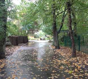Tierpark