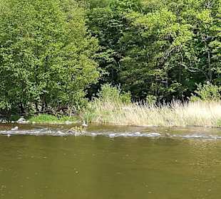 Kurpark Bad Münster