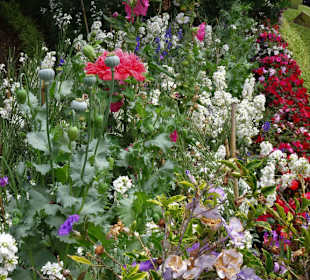 Impressionen aus dem Stadtpark von Funchal
