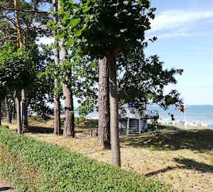 Strandpromenade Binz auf Rügen