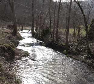 Bad Uracher Wasserfall