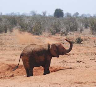 Einen frischen Anstrich bitte