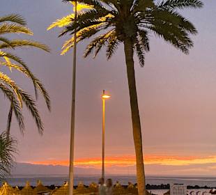 Strandpromenade Playa de las Americas 