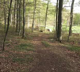 Wanderweg Hochgehswiggert