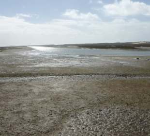 Bei einer Wanderung im Park Natural Ria Formosa