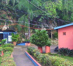 Green Grotto 12.2016