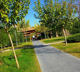 Ende Nov. 2012 Am Strand entlang