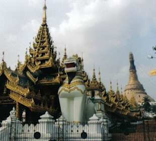 Swedagon Pagode