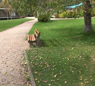 Stadtrundgang Titisee