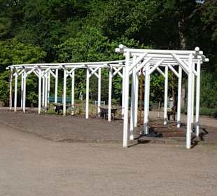 Spaziergang durch den Botanischen Garten Bremen