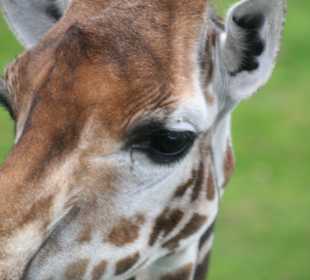 Unsere Freundin gaaaanz nah