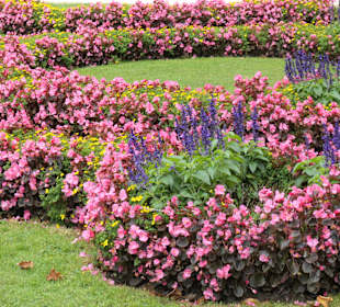 Spaziergang durch den Mirabellgarten