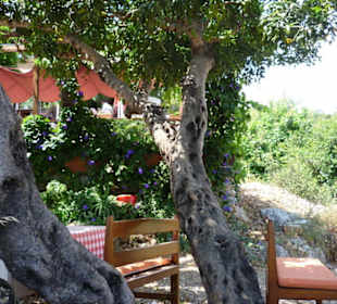 Restaurant auf dem Burgberg