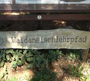 Ameisenlehrpfad Holzelfingen
