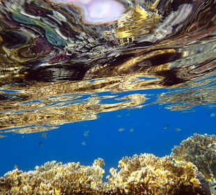 Просто риф - Hotel Tropitel Sahl Hasheesh