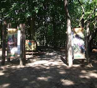 Freizeitpark Duinrell