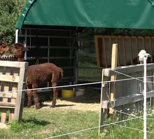 Wanderweg Ammerbucher Gigeleswegle