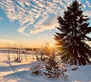 Wandern Breitenbrunn (Erzgebirge)