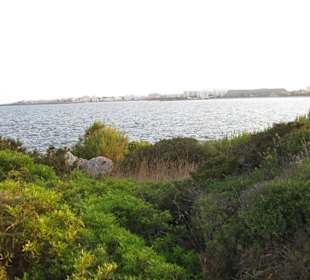 Naturschutzgebiet zwischen Sa Coma und Cala Millor