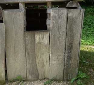 Phäno-Pfad Aichstetten