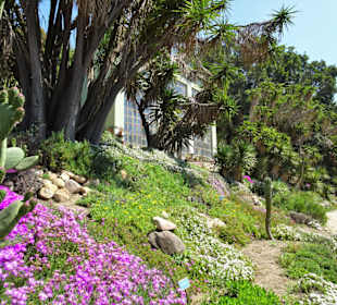 Impressionen aus dem Botanischen Garten Cagliari