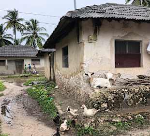 Tourguides Nabil & Klaus Mohamed