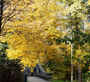 Herbstspaziergang durch den Bürgerpark Bremen
