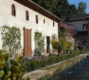 Dettaglio del giardino