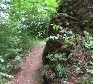 Burg Alt-Lichtenstein