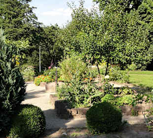 Impressionen aus dem Interkulturellen Garten