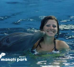Delphin