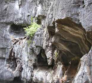 Felsen in der Small Lagoon