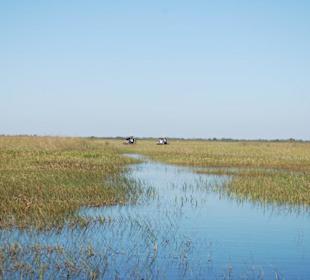 Ausflug in die Everglades