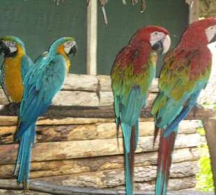 Waren bei uns im Camp