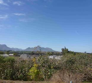 Weingebiet Stellenbosch