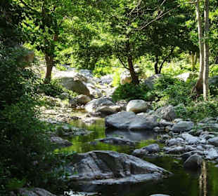 Impressionen von einer Wanderung an der Massane