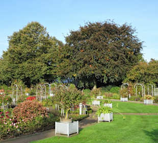 Rundgang durch das herbstliche "Planten un Blomen"