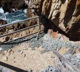 Aussichtspunkt Knysna